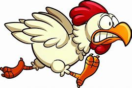 Image result for Funny Scared Chicken Cartoons