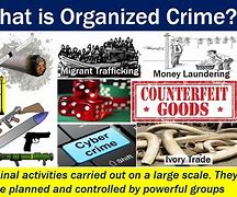 Image result for Crime Against Authority Examples