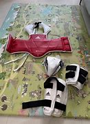 Image result for Adidas Taekwondo Sparring Gear