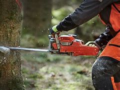 Image result for Cutting Fallen Trees with a Chainsaw