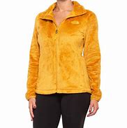 Image result for North Face Osito Fleece Jacket