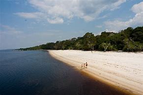 Image result for Amazon Beaches