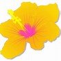 Image result for Hawaii Faces
