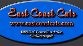 Image result for East Coast Cats Red