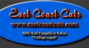 Image result for East Coast Cats Kat