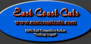 Image result for East Coast Cats Erica