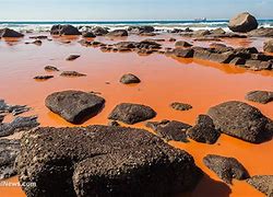 Image result for Radioactive Water Pollution