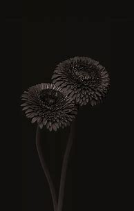 Image result for Aesthetic Wallpaper Brown Black