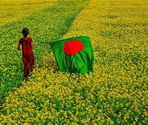 Image result for Bangladesh Uprising