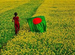 Image result for Bangladesh War Crimes