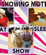 Image result for Stock Show Memes