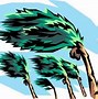 Image result for Tropical Storm Tree Clip Art
