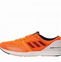 Image result for Adidas Terrex Boost