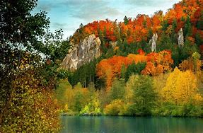 Image result for Autumn HD Wallpaper Widescreen
