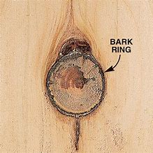 Image result for Filling Knot Holes in Wood