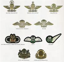 Image result for Singapore Military Logo