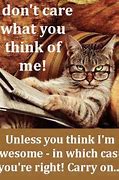 Image result for Afternoon Funny Thoughts