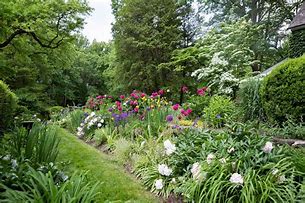 Image result for Perennial Flower Gardens for Sun