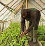 Image result for Sustainable Agricultural Farming