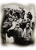Image result for Mengele Twins