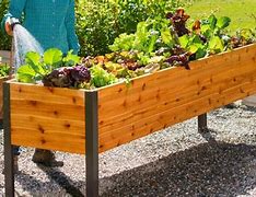 Image result for Raised Garden Boxes