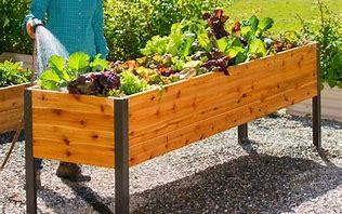 Image result for Wooden Raised Bed Planters