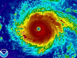 Image result for Hurricane Satellite Images