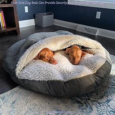 Dog Cave Beds: Introducing the Concept of and their Purpose. | No1 Online Shop for Best Dog Products.