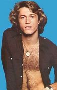Image result for Barry Gibb and Andy Gibb