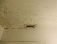Image result for Mildew On Bathroom Ceiling