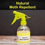 Image result for Natural Moth Repellent