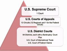 Image result for United States Court System