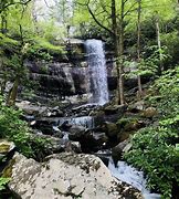 Image result for Nature Trails Near Me