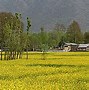 Image result for Sino-Indian Conflict