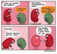 Image result for Kidney Humor
