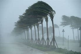 Image result for What Is Hurricane