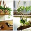 Image result for Unique Hanging Planters