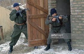 Image result for Serb Volunteer Guard