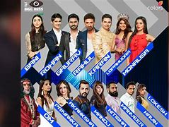 Image result for Bigg Boss Contestants