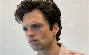 Image result for Sebastian Stan Movies and TV Shows