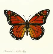 Image result for Butterfly Print