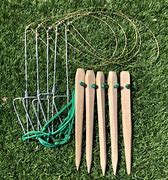Image result for Bunny Rabbit Snare