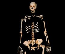 Image result for Oldest Human in the World