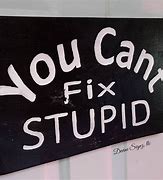 Image result for You Can't Fix Stupid