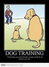 Image result for Funny Dog Training