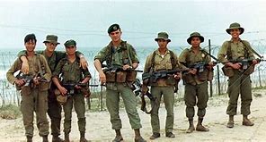 Image result for Special Forces Teams in Vietnam