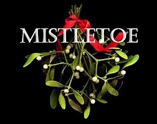 Image result for The Mistletoe Promise
