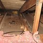 Image result for Pictures of Black Mold Attic