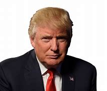 Image result for Donald Trump Side View