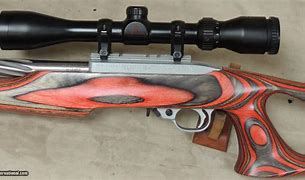 Image result for Custom Ruger 10 22 Rifle